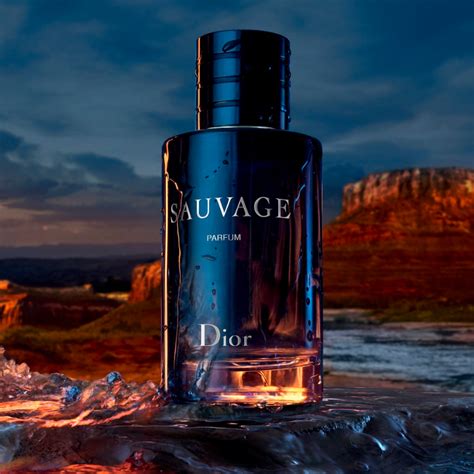 dior sauvage wizaz|Dior Sauvage fragrance.